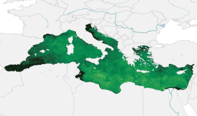 Mediterranean Sea Biogeochemistry Reanalysis Copernicus Marine Service