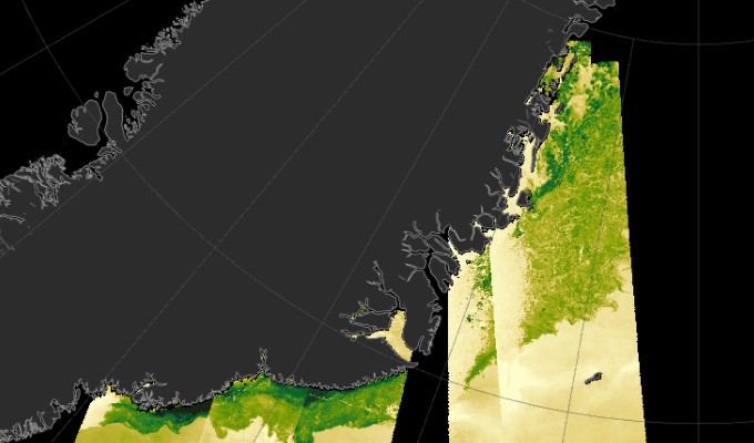 High-resolution L3 Sea Surface Wind from NRT Satellite Measurements ...